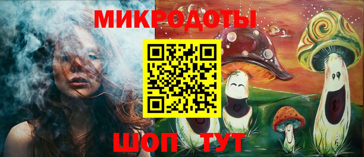 Псилоцибиновые грибы Psilocybine cubensis Миллерово