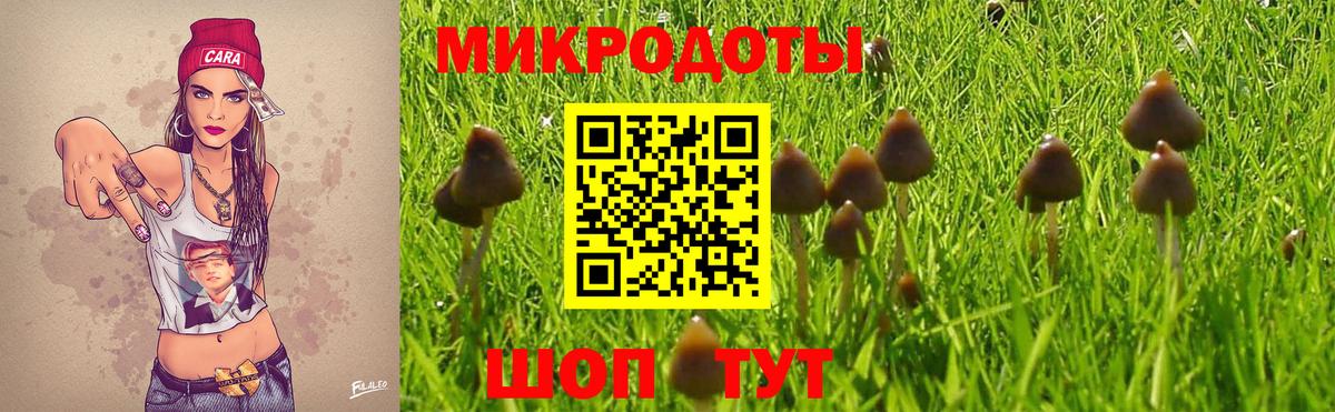 Галлюциногенные грибы Magic Shrooms  Вход с VPN  Галлюциногенные грибы Magic Shrooms  Миллерово 